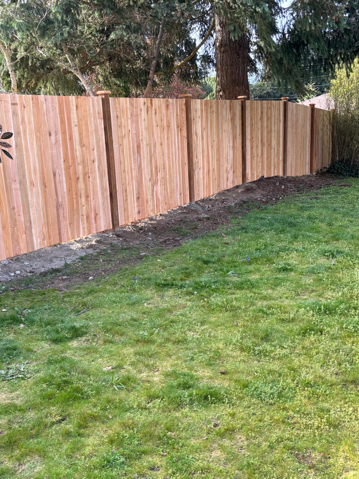 Tall Cedar Privacy Fence