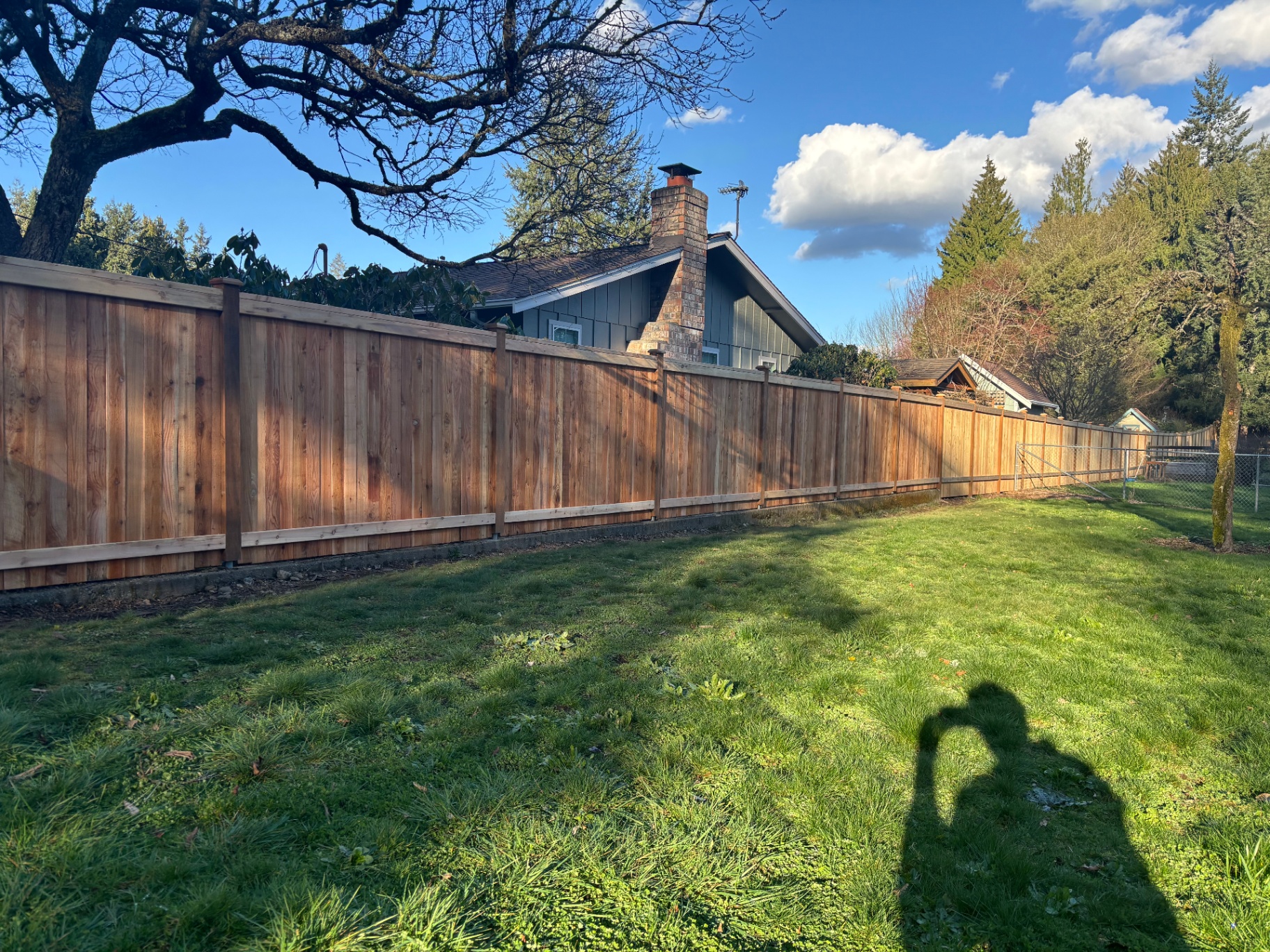 Full-Length Backyard Fence